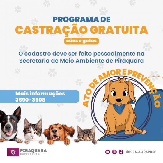 Prefeitura abre cadastro para Programa de Castração Gratuita de Cães e Gatos